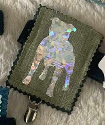 Show Ring Armbands hologram