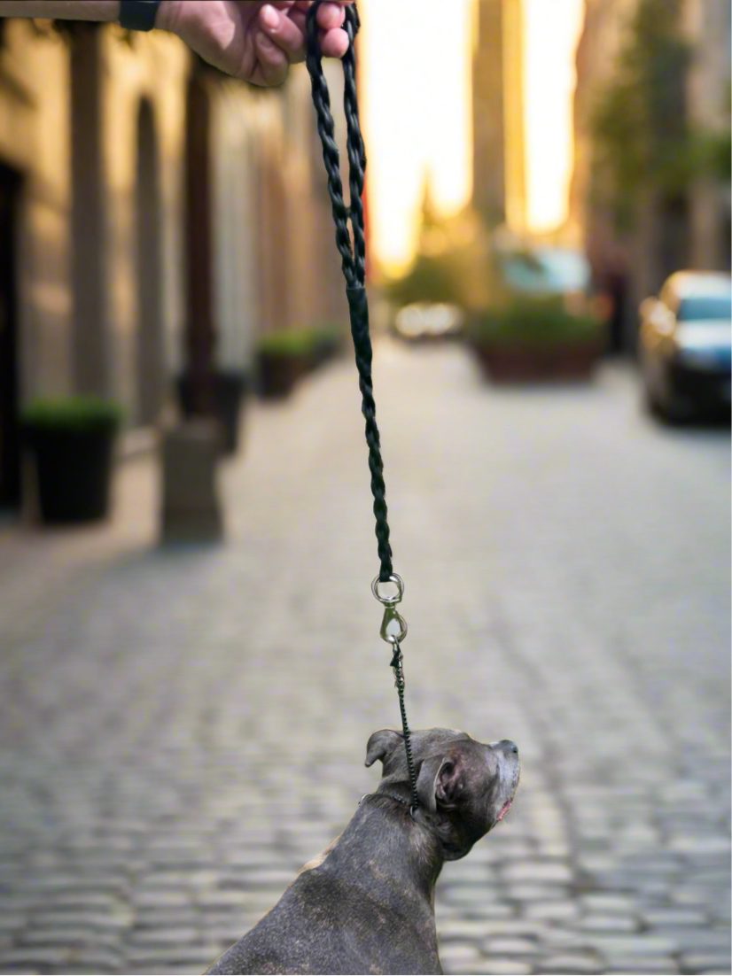 8 Braid Short Leash 60cm Black