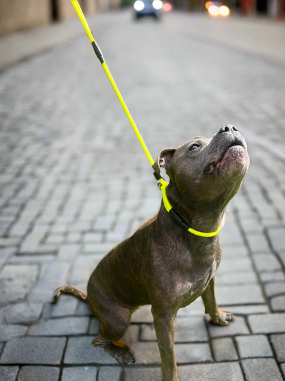 800mm STRONG Slip Leash, Electric Yellow