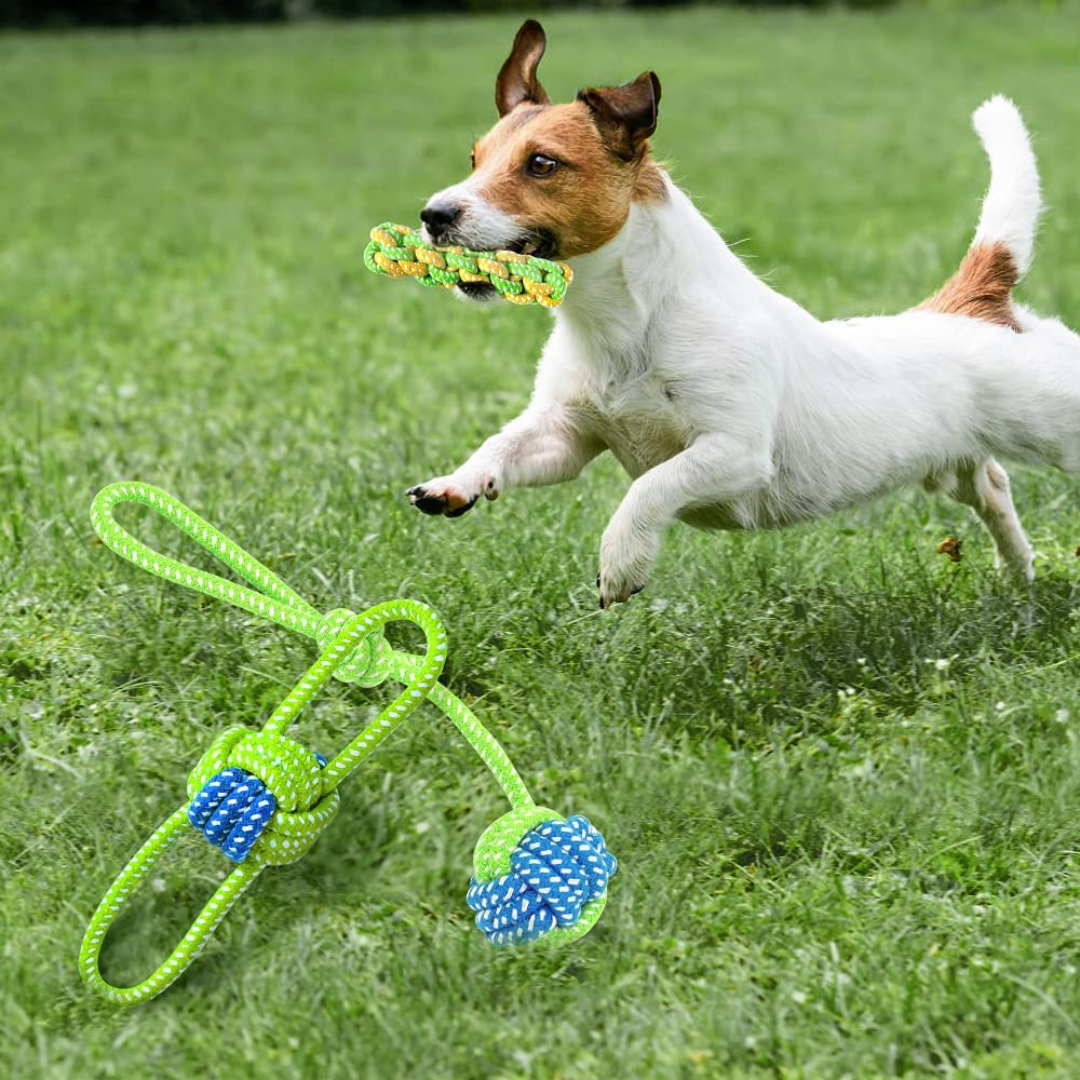 Dog Chew Rope Toys Set - Pack of 7 PCS Cotton Puppy Pet Chew Toys