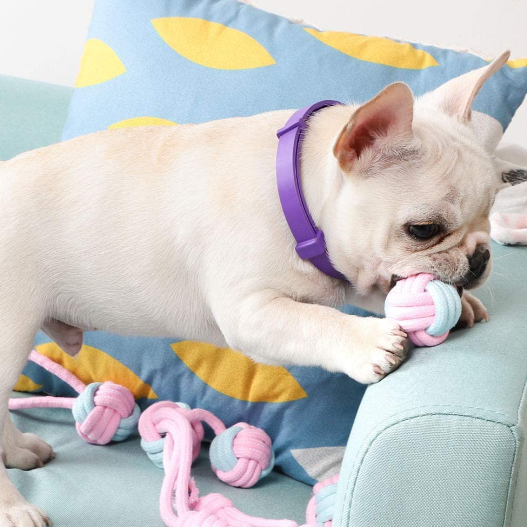 Dog Chew Rope Toys Set - Pack of 7 PCS Cotton Puppy Pet Chew Toys