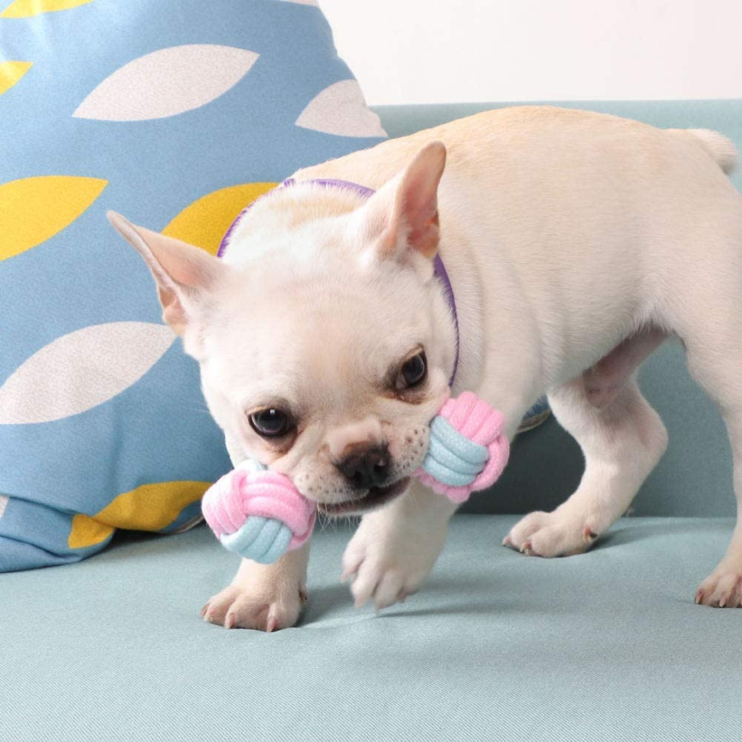 Dog Chew Rope Toys Set - Pack of 7 PCS Cotton Puppy Pet Chew Toys