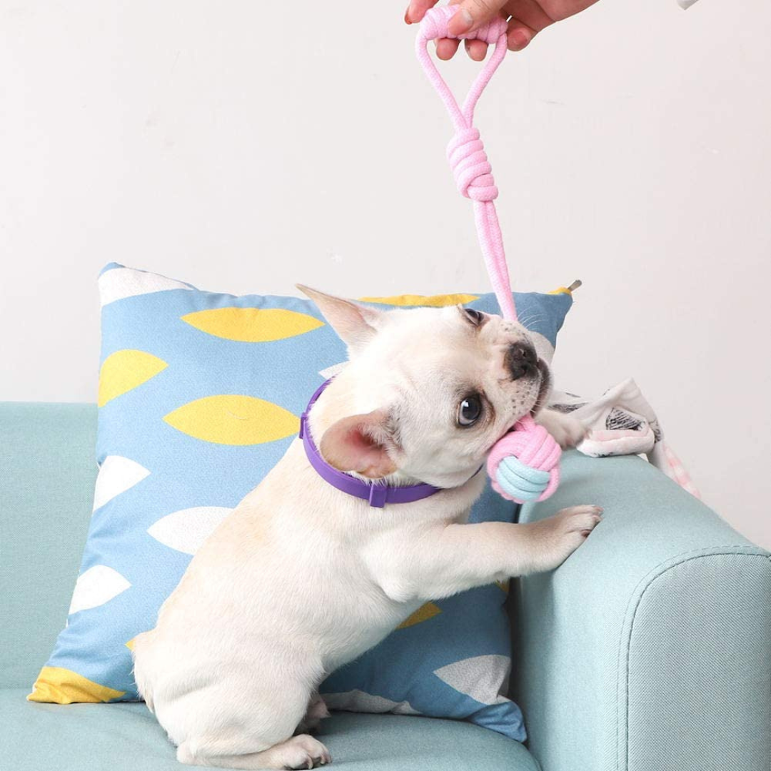 Dog Chew Rope Toys Set - Pack of 7 PCS Cotton Puppy Pet Chew Toys