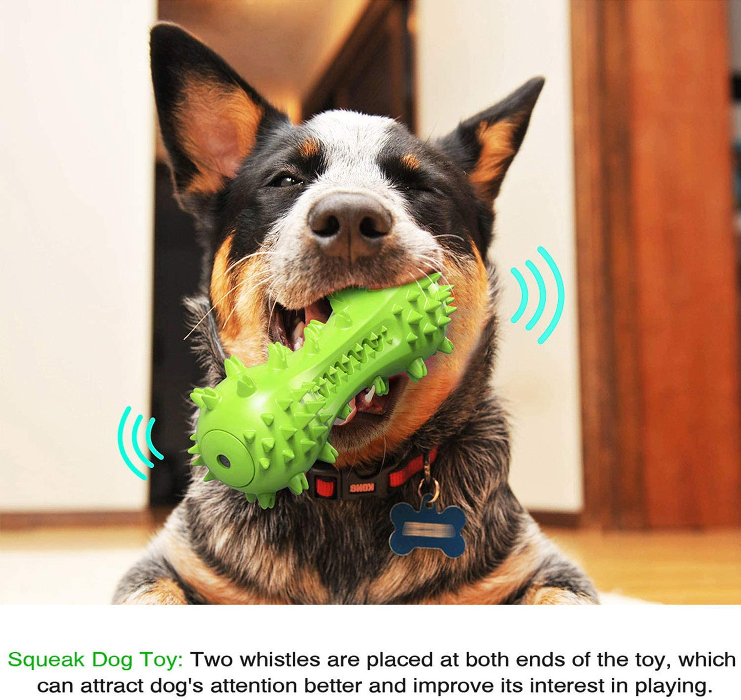 Dog Chew Toy