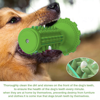 Dog Chew toy