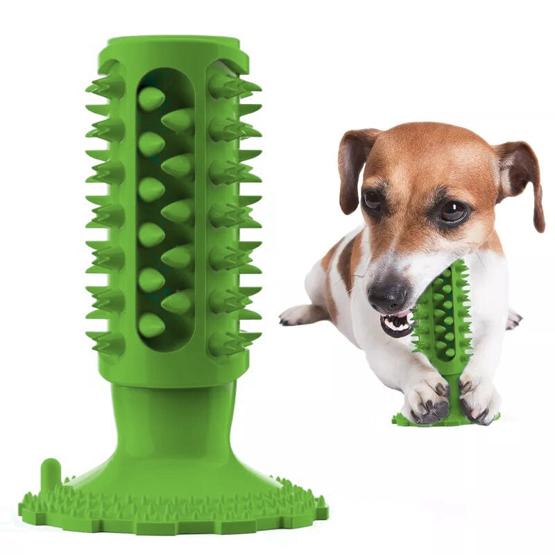 Dog Chew toy