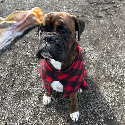 Air-Dried Fish Tails: Omega 3 Treats for Pets