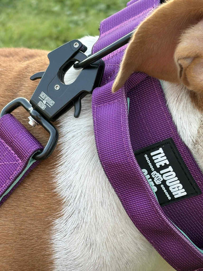 The Tough Ones™ Plum & Mint Tactical Dog Leash