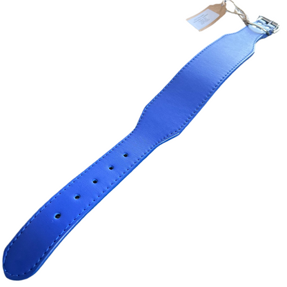 Durable Microfibre Leather Dog Collar – Blue (5cm Wide)