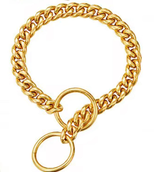 Cuban Link Training Chain – 10mm Show Ring Collar (Gold)