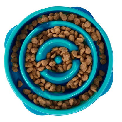 Slow Feeder Dog Bowl