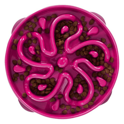 Slow Feeder Dog Bowl