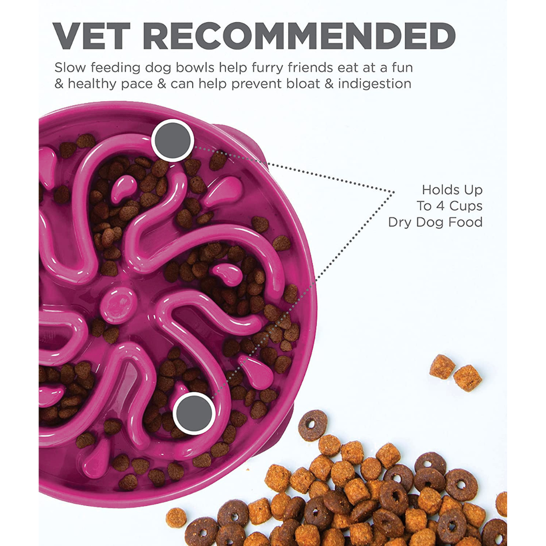 Slow Feeder Dog Bowl