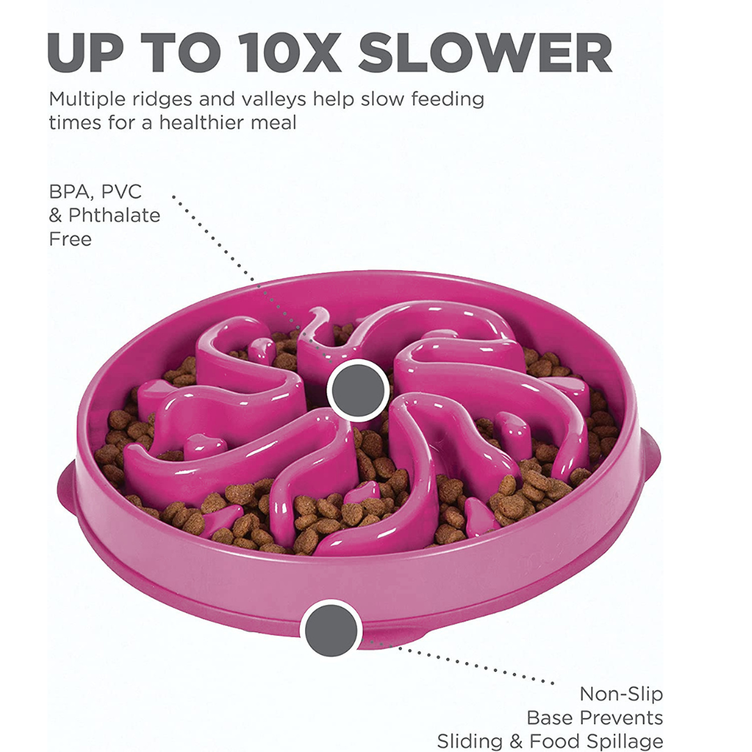 Slow Feeder Dog Bowl