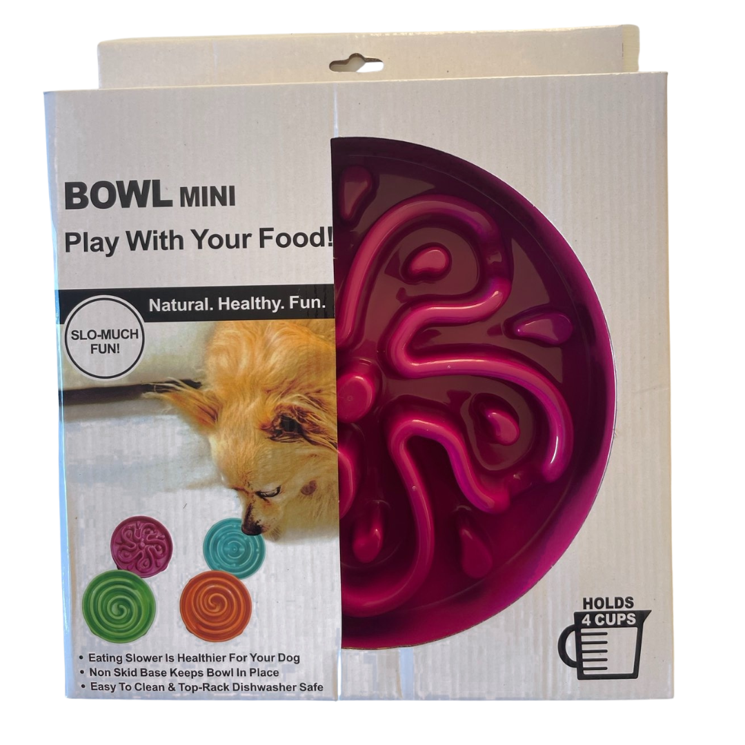 Slow Feeder Dog Bowl