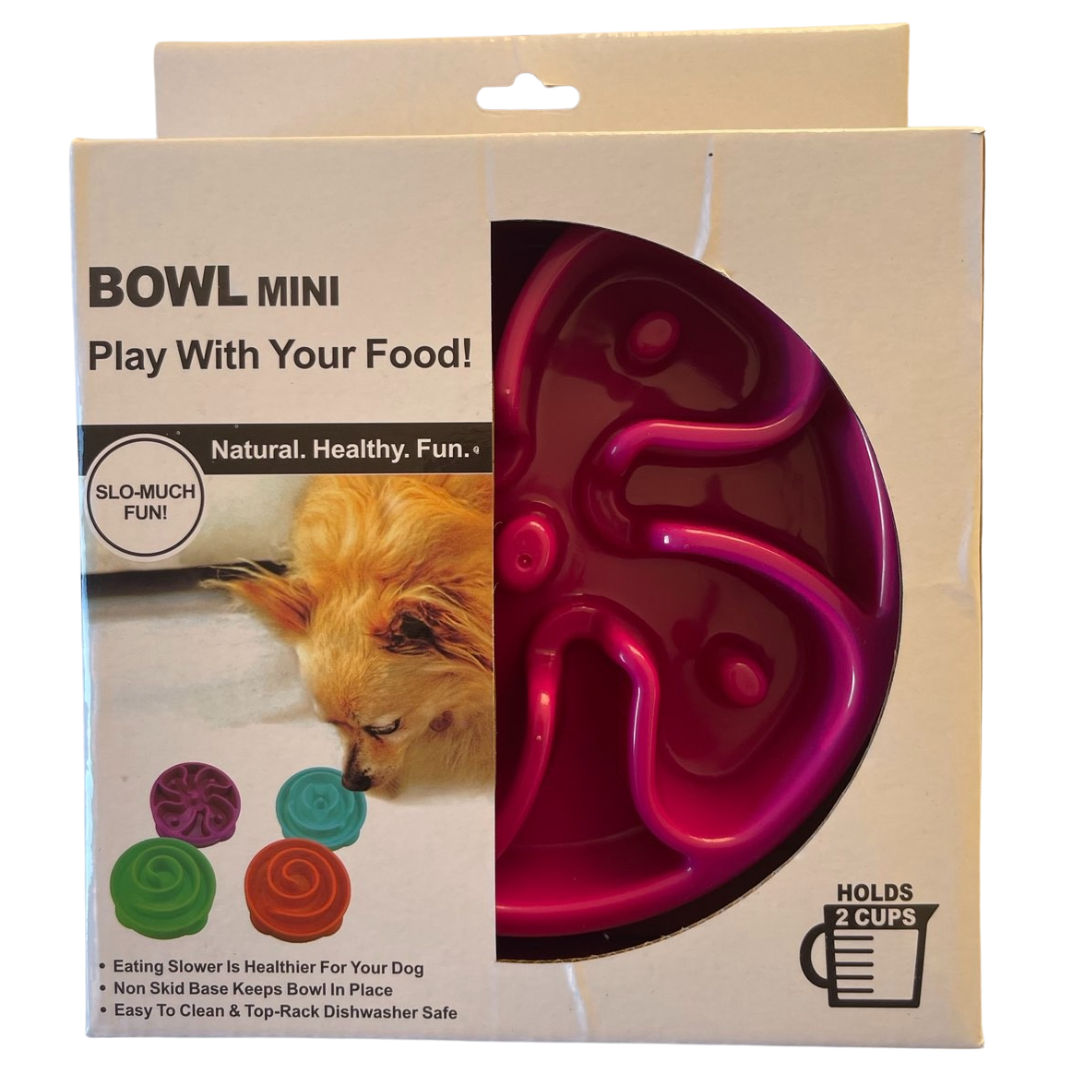Slow Feeder Dog Bowl