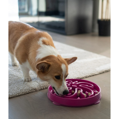 Slow Feeder Dog Bowl