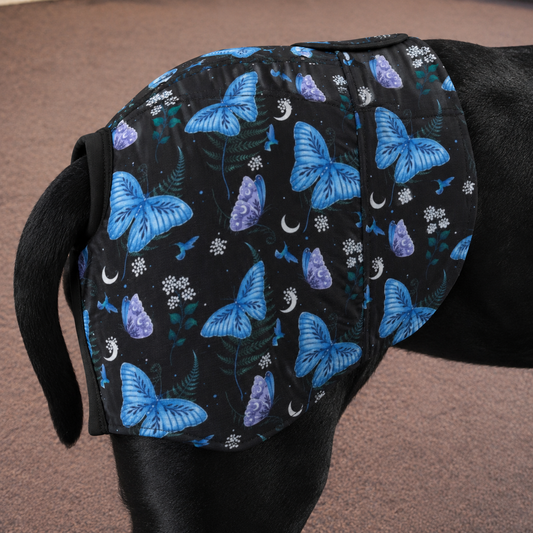 Blue Butterfly B!tches Britches™ | Reusable Female Dog Season Pants | The Tough Ones™