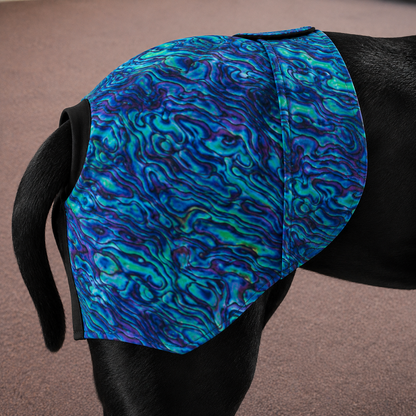 Pāua B!tches Britches™ | Reusable Female Dog Season Pants | The Tough Ones™