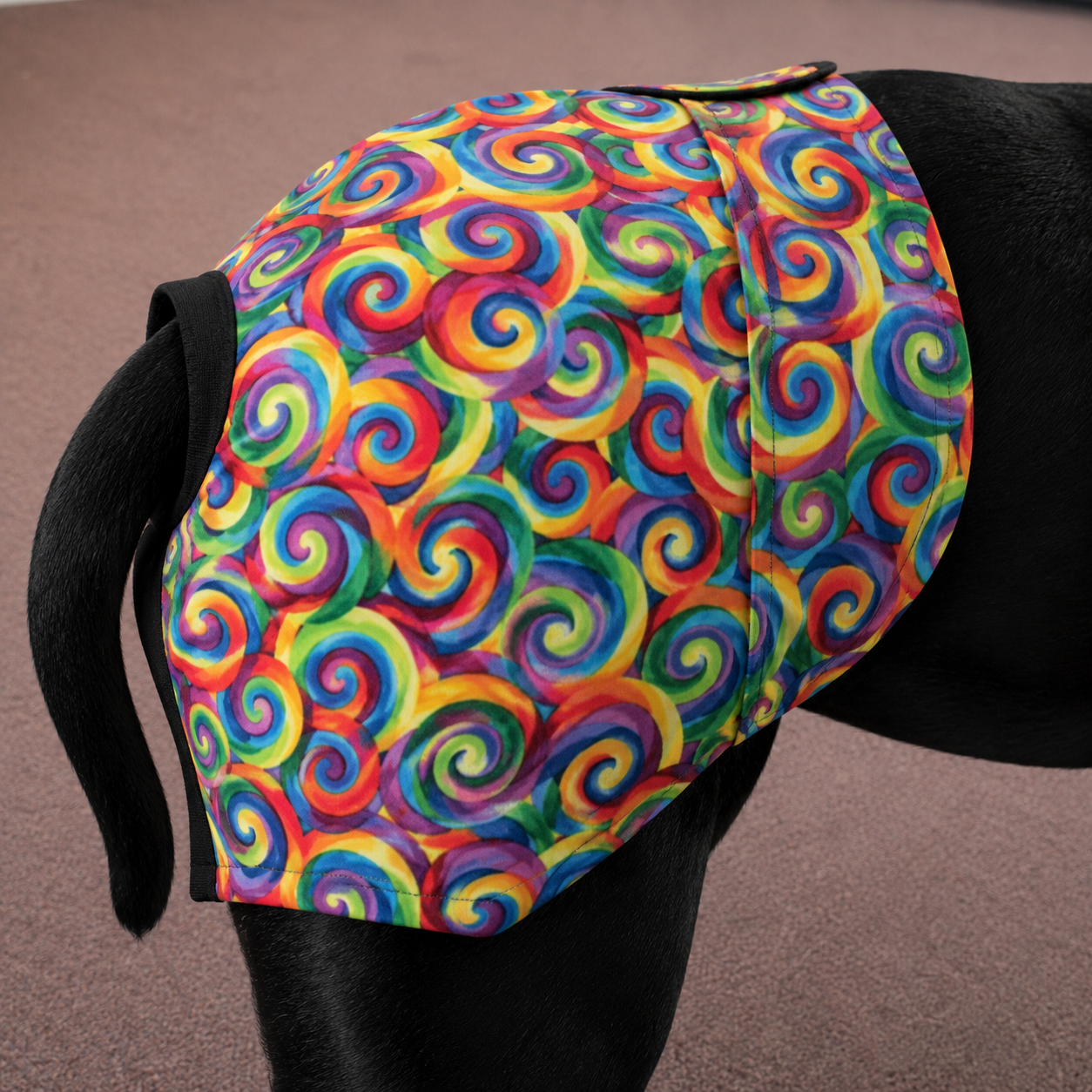 Rainbow Swirl B!tches Britches™ | Reusable Female Dog Season Pants | The Tough Ones™