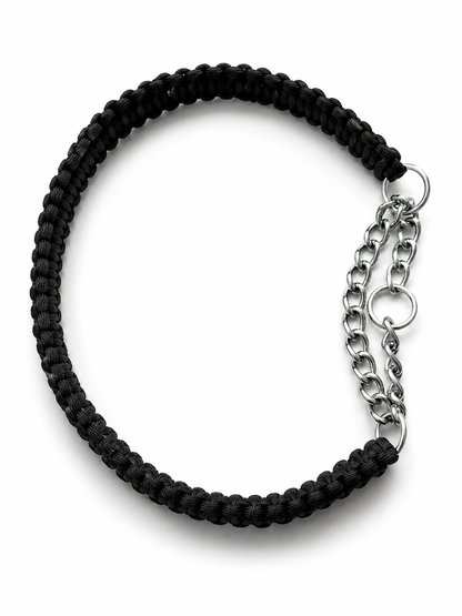 Heavy-Duty Cobra Braid Martingale Collar & Lead Set