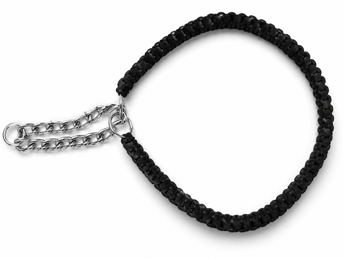 Heavy-Duty Cobra Braid Martingale Collar & Lead Set
