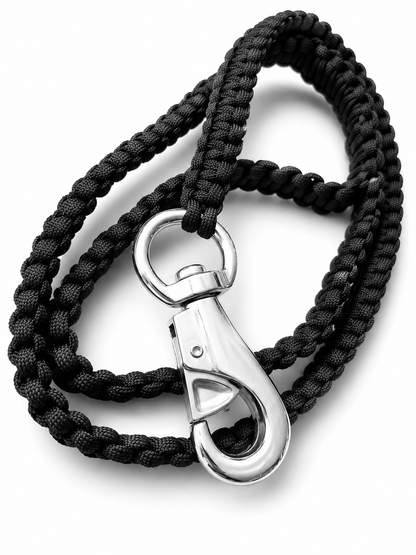 Heavy-Duty Cobra Braid Martingale Collar & Lead Set