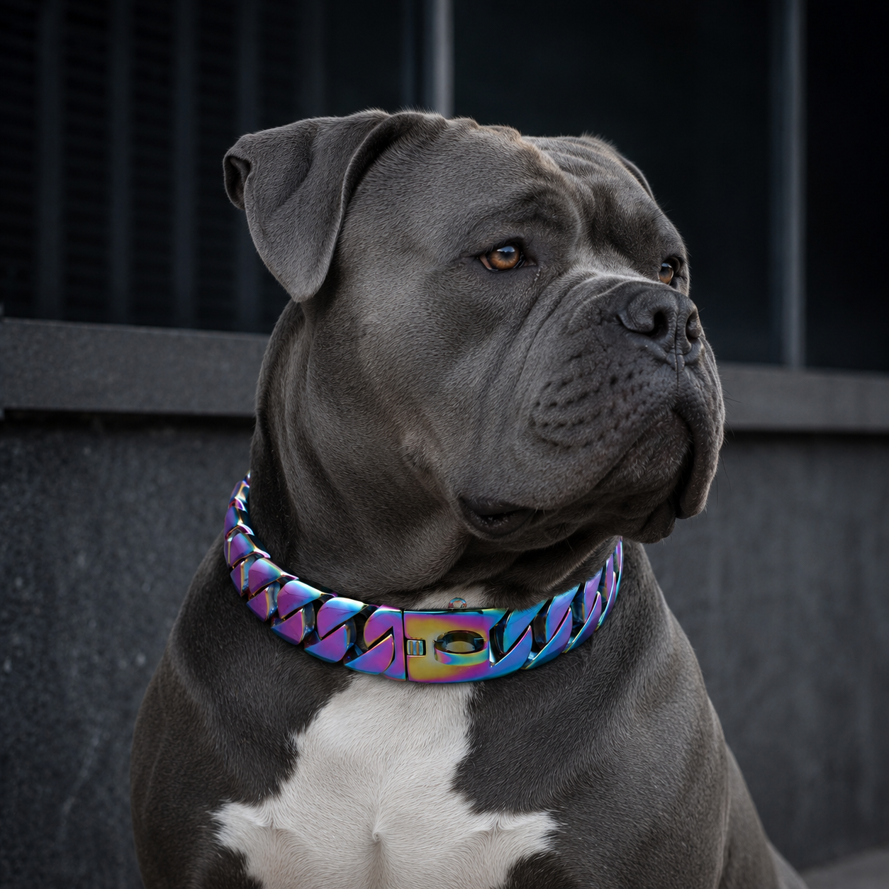 Rainbow Chrome Cuban Link Dog Collar | 32mm Heavy Duty Stainless Steel