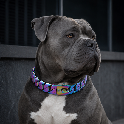 Rainbow Chrome Cuban Link Dog Collar | 32mm Heavy Duty Stainless Steel