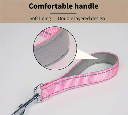 Short Traffic or Show Leash