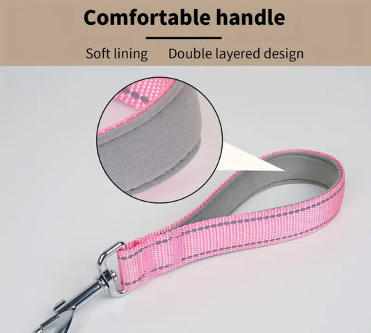 Short Traffic or Show Leash