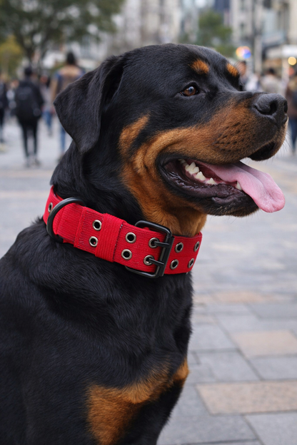 Rose Red Tactical Collar 54-62cm