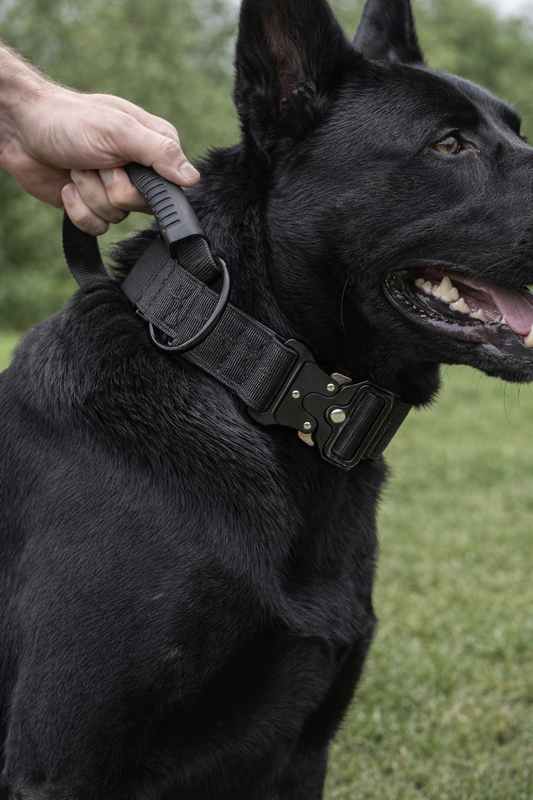Tactical Nylon Dog Collar with Grab Handle