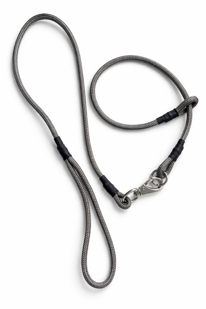 STRONG Graphite Slip Collar & Leash Set