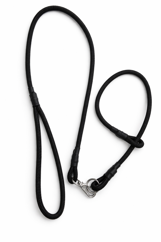 STRONG Onyx Slip Collar & Leash Set