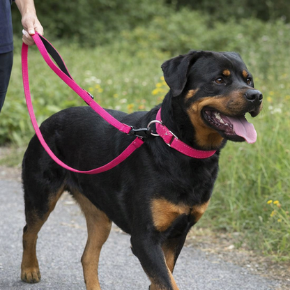 Reflective Nylon Martingale Collar & Leash Set – Pink