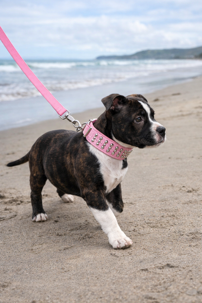 Pink Studded Faux Leather Puppy Collar & Leash Set – Built with Tough Style