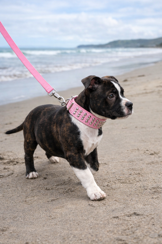 Pink Studded Faux Leather Puppy Collar & Leash Set – Built with Tough Style