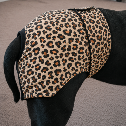 Leopard Print “Bitches Britches” – Female Dog Season Pants for Large & Powerful Breeds