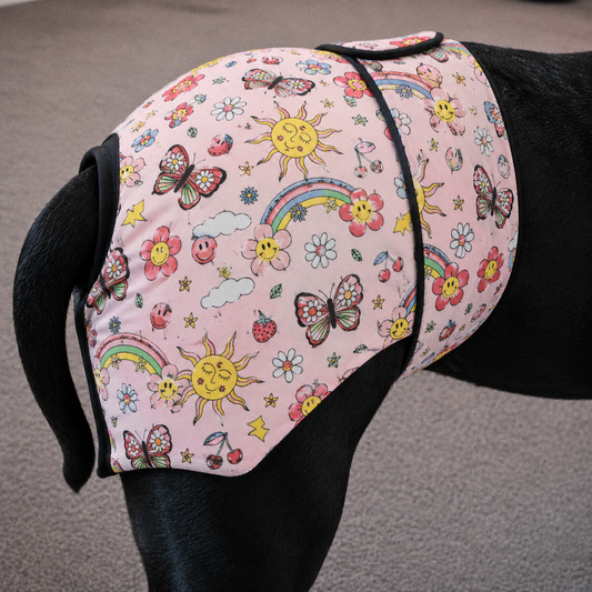 Butterflies “Bitches Britches” – Female Dog Season Pants for Large & Powerful Breeds