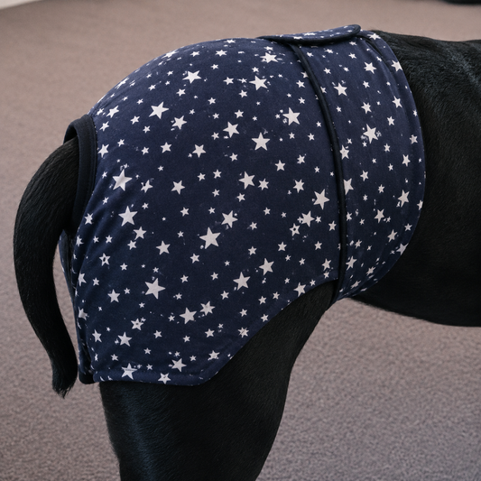 Stars “Bitches Britches” – Female Dog Season Pants for Large & Powerful Breeds