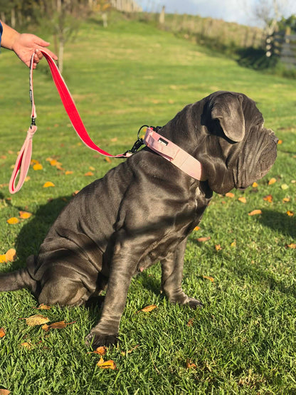 The Tough Ones™ Bubblegum & Cherry Tactical Dog Leash