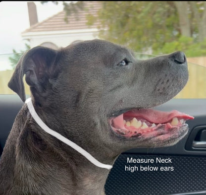 Rose Gold Snake Chain