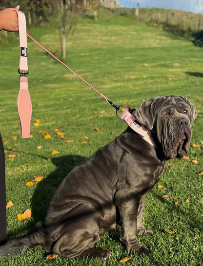 The Tough Ones™ Bubblegum & Cherry Tactical Dog Leash