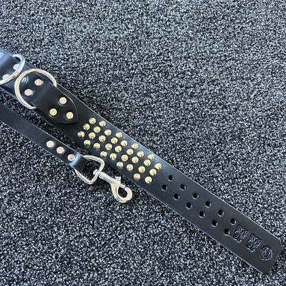 Black leather dog collar with gold studs on a textured black background