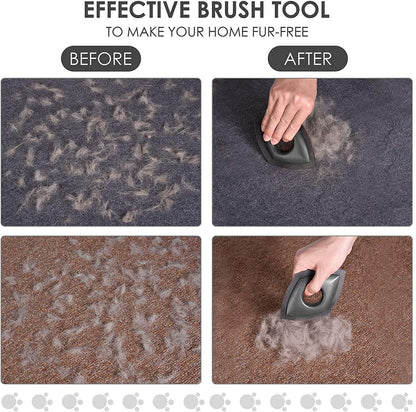 Mini Pet Hair Remover for Car/Couch Detailering