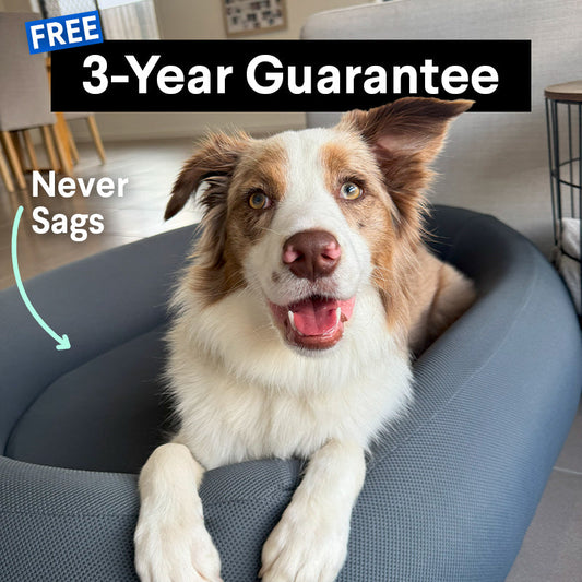 Brooklyn® Nest Dog Bed