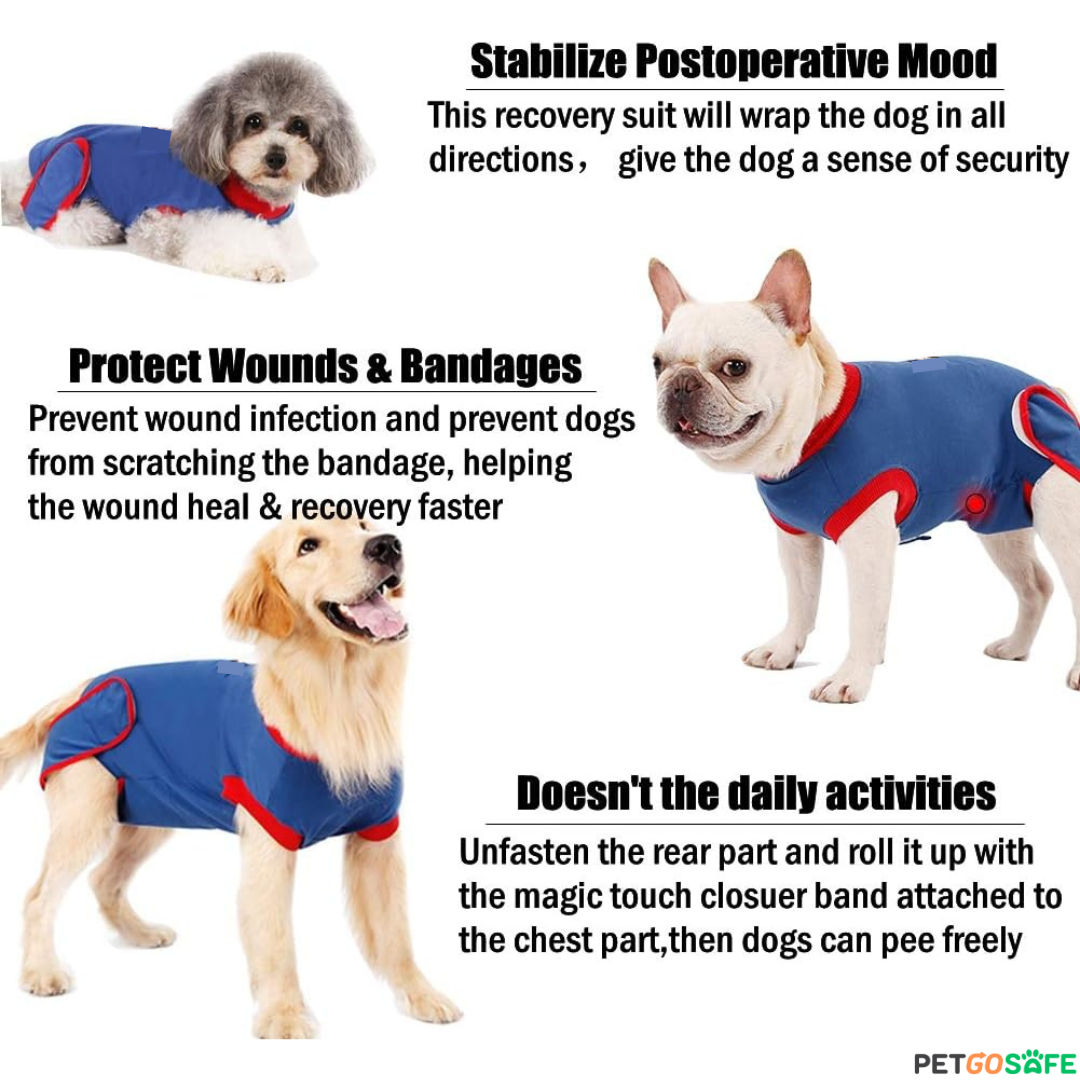 Pet Recovery Suit After Surgery