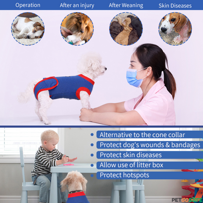 Pet Recovery Suit After Surgery