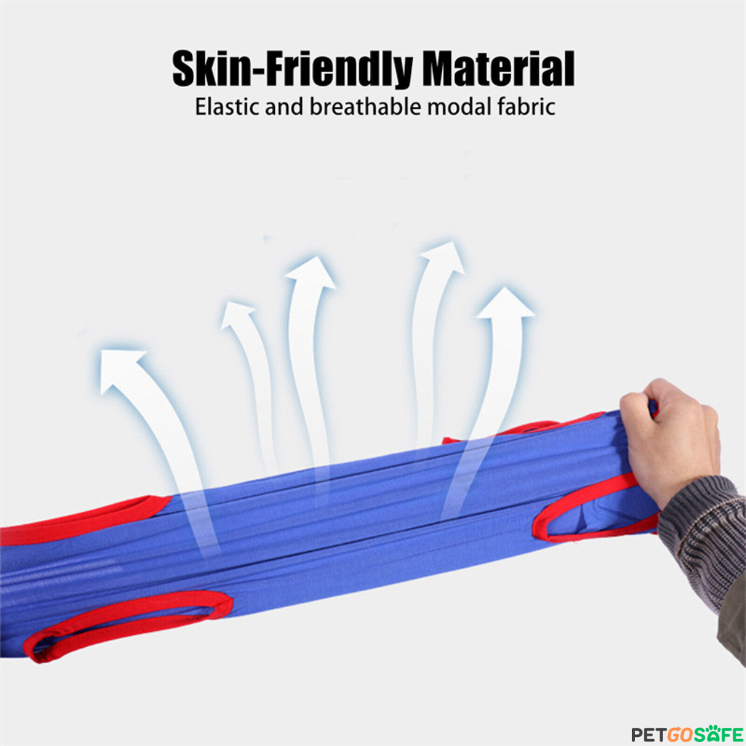 Pet Recovery Suit After Surgery